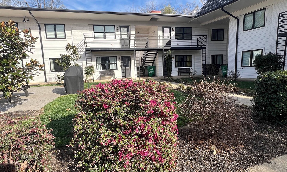 Plaza Midwood Apartment | 1 Bedroom Apt4 in Noda- Very close to Uptown and Novant Presbyterian
