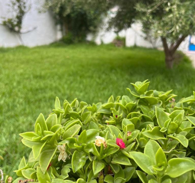 Ezzahra Villa | 3 bedroom Villa with garden