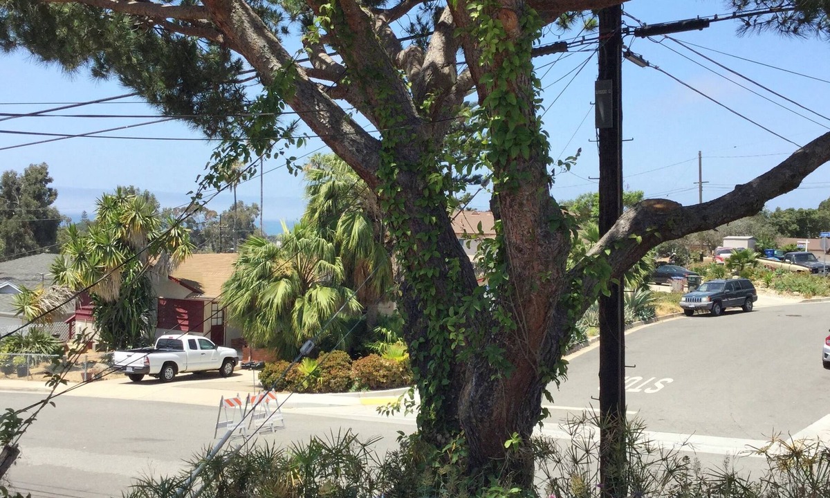 Ventura Apartment | A charming 1+1 located on the hillside of Ventura w/ Ocean View