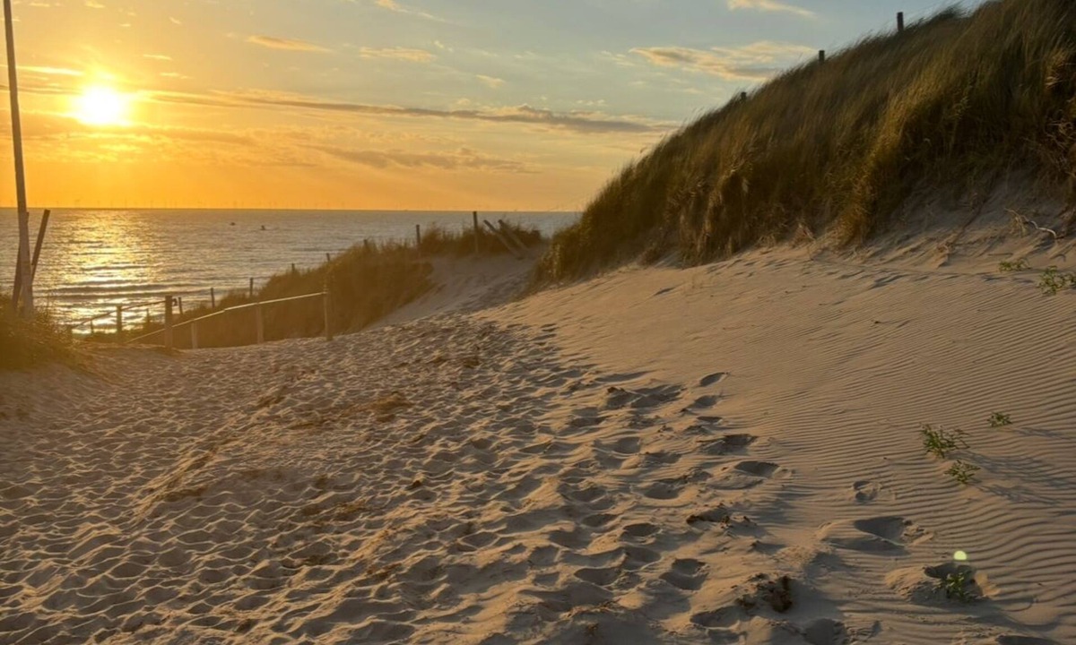 Egmond-Binnen Ski Chalet | A place on the dunes, where the sun always shines, 10 minutes from the beach!