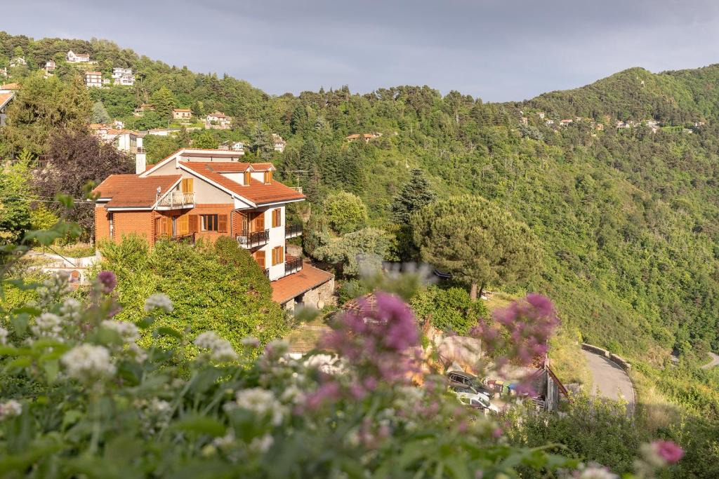 Berzi House | Allegria