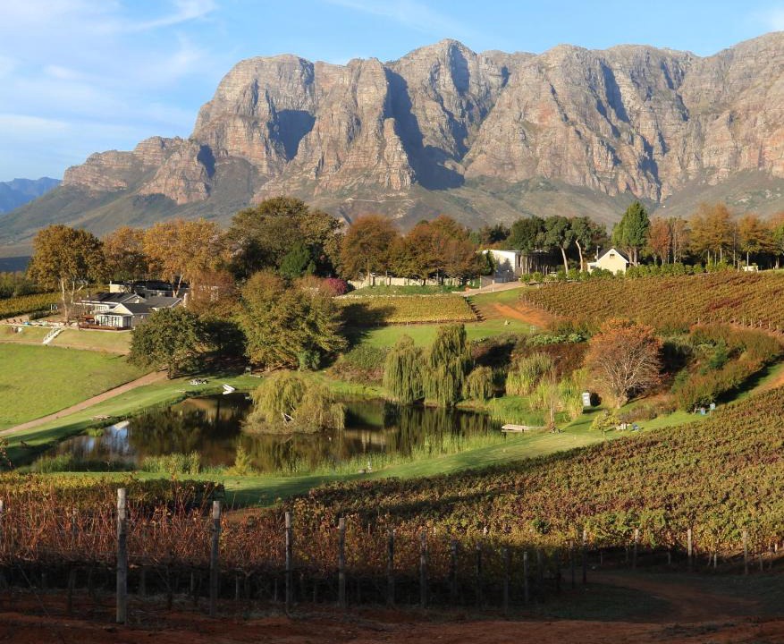 Cape Winelands House | Alluvia Boutique Winery & Luxury Accommodation