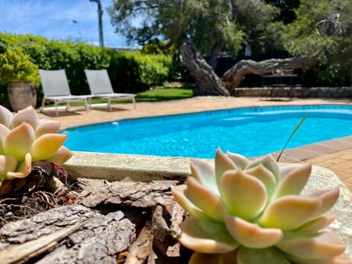 Westcliff House | Anchor's Rest
