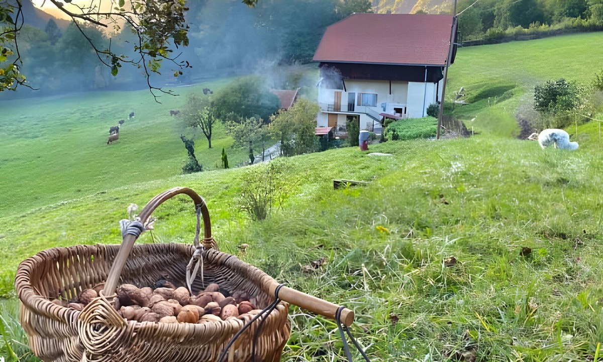 Ugine Apartment | Apartment 'La Ferme Du Mont Charvin' with Mountain View, Private Terrace and Balcony