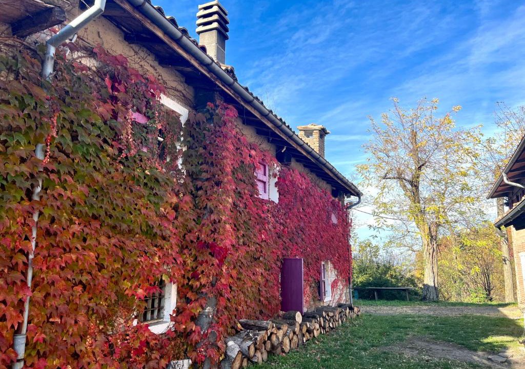 Langhirano Apartment | Appartamento immerso nella natura, silenzio e riservatezza a 550 m di quota