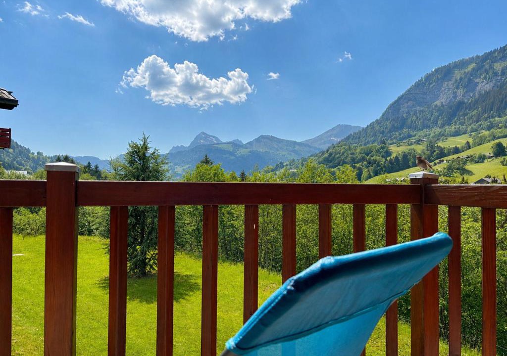 Flumet Apartment | Appartement cosy au pied des pistes avec piscine - FR-1-505-213