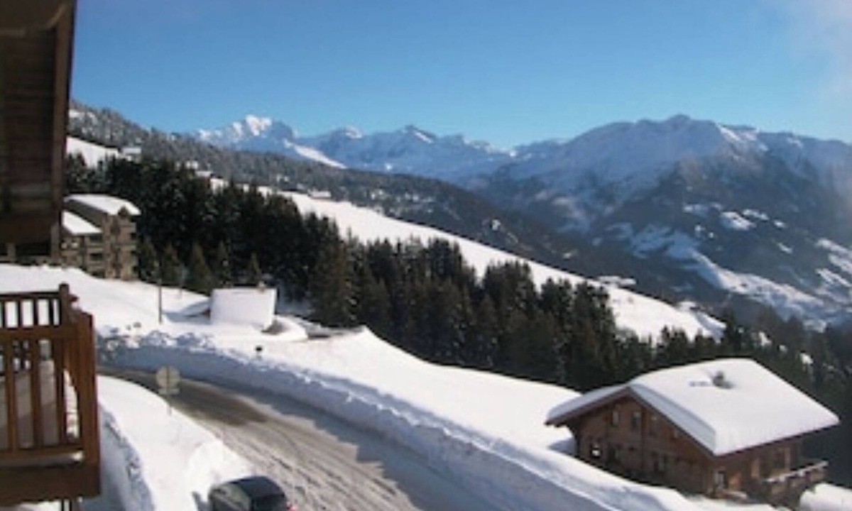 Bisanne 1500 Apartment | At the foot of the Ameria gondola, Locations-Lessaisies Bisanne