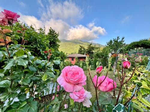 Rasora Bed & Breakfast | B&B La Piazzetta