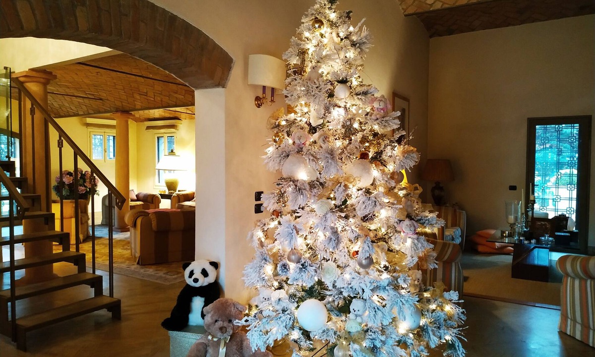 Carpi Bed & Breakfast | B&B Villa delle Palme