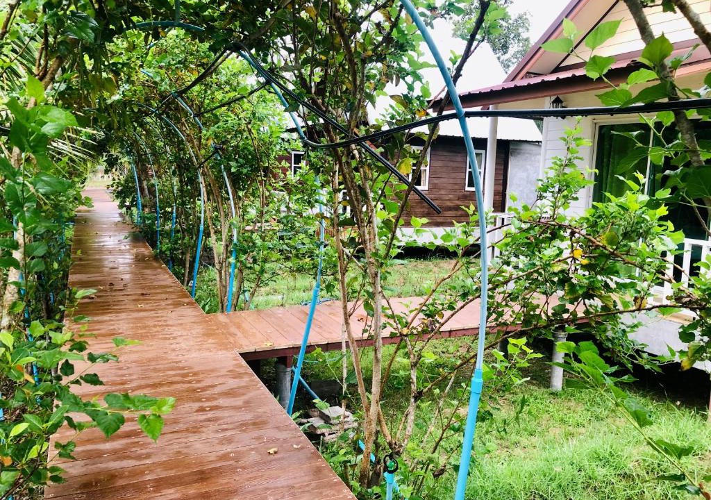 Prasat Resort | Baan Thung Home Stay