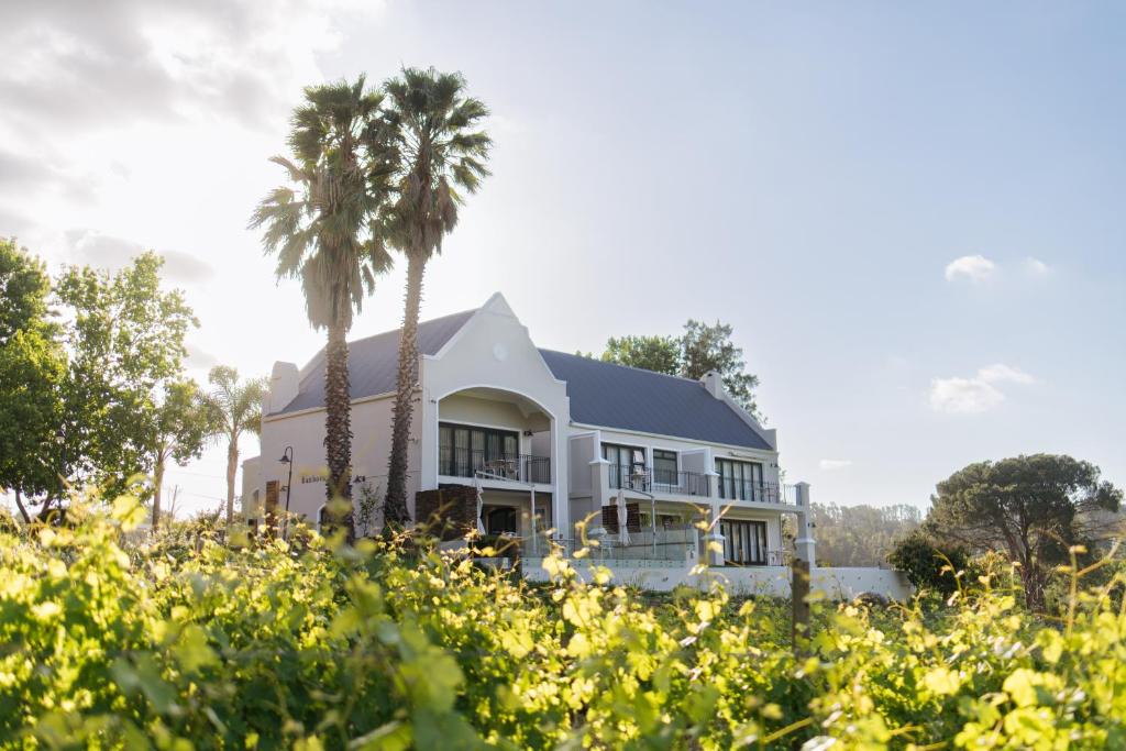 Cape Winelands House | Banhoek Lodge