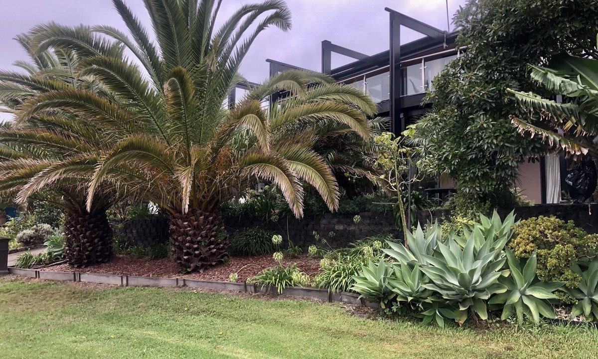 Malua Bay House | Beautiful large home sleeps 12 Sea views 2 minutes to beach Pet friendly