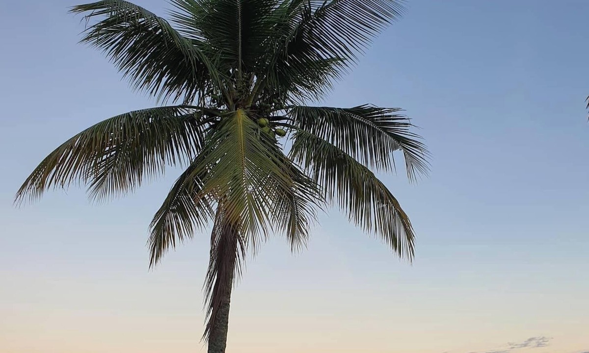 Pereque House | House to relax in the wonderful nature of Angra dos Reis