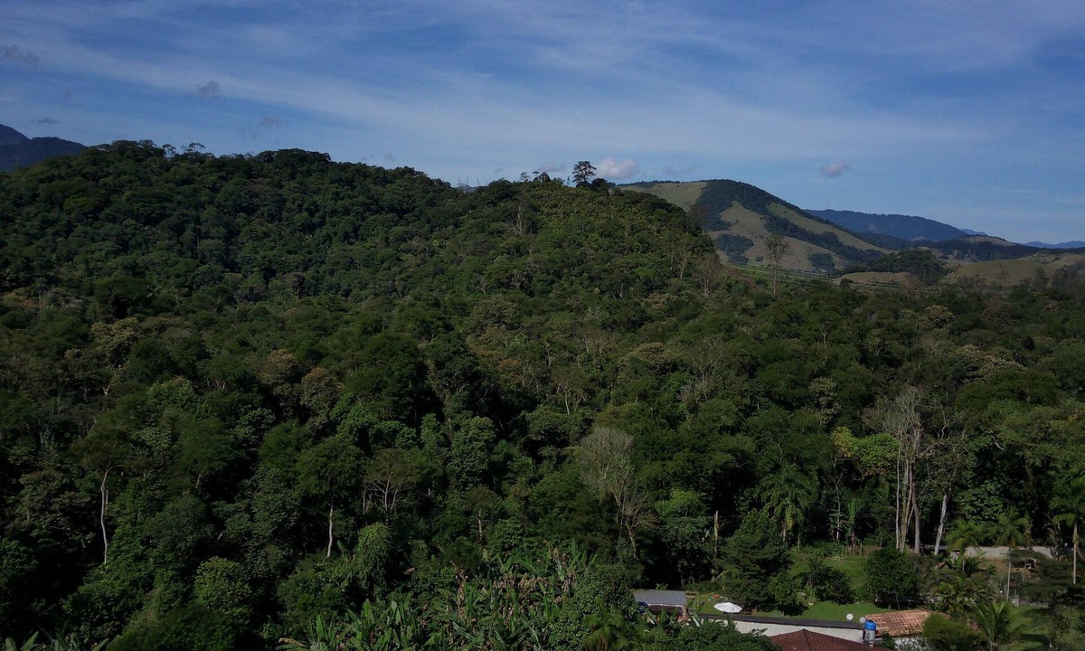 Centro House | Cachoeira Country House