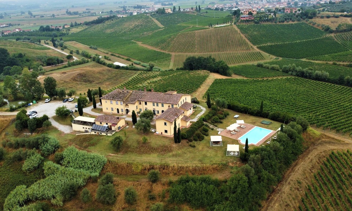 Stabbia House | CANAIOLO APARTMENT at MUSIGNANO farmhouse