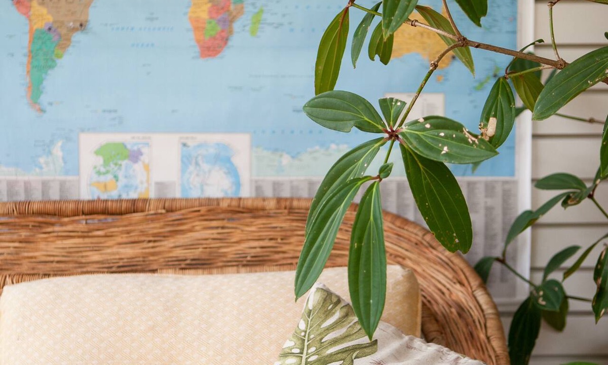 Mandeville Apartment | Casa da Buena Vista Apt 2, |4 Mins from NCU/town | Business Traveller Ready