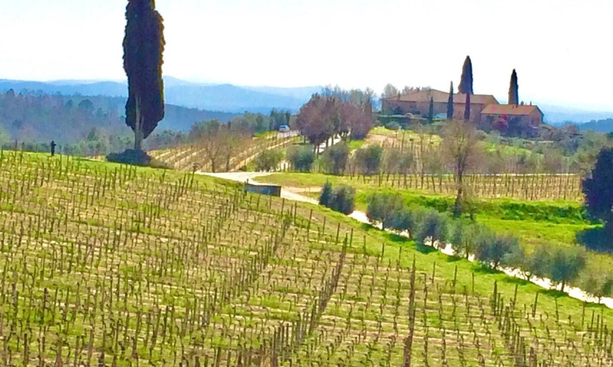 Castelnuovo Berardenga House | Casa Rossella,charming house in historical Chianti Estate ,private pool