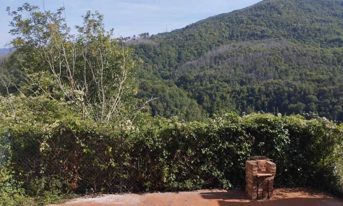 Masero House | Casetta Immersa nel Verde Della Lunigiana, Un'oasi del Sole e del Relax