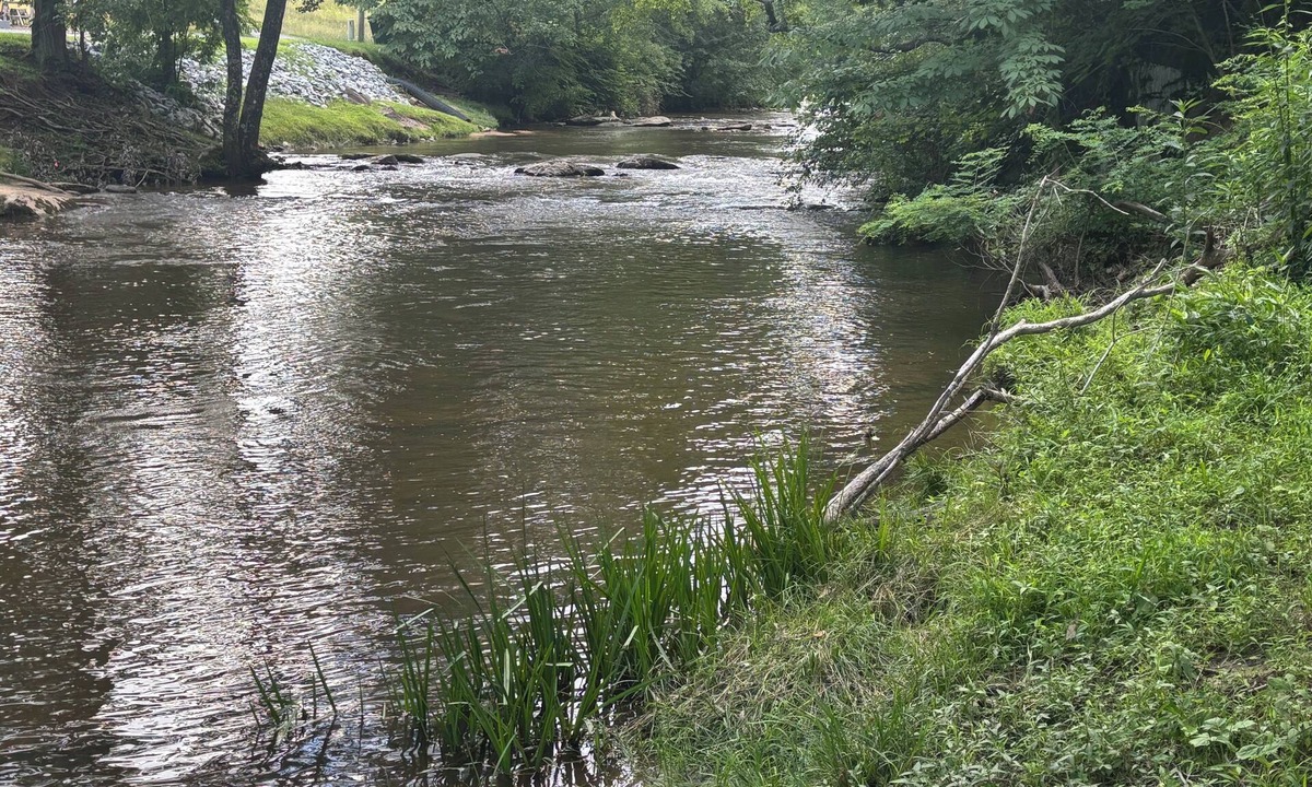 Sparta Cottage | Charming Cottage at Bridge Over Doubled Waters in Sparta, NC