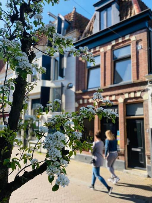Hoorn Apartment | City-beach apartment nearby Amsterdam