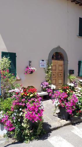 Monte San Savino House | dalla CARLA in Toscana