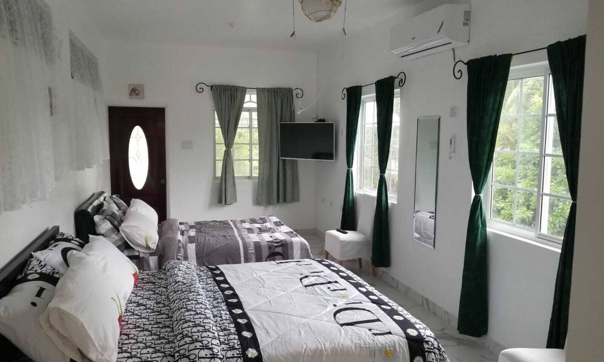 Porus Apartment | Delightful Air-Conditioned Studio in Clarendon Park
