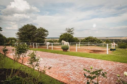 Klerksdorp House | Die Kliphuis