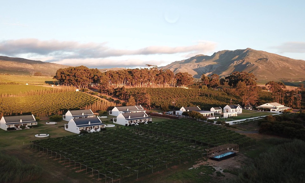 Bot River Cottage | Endless Vineyards at Wildekrans Wine Estate