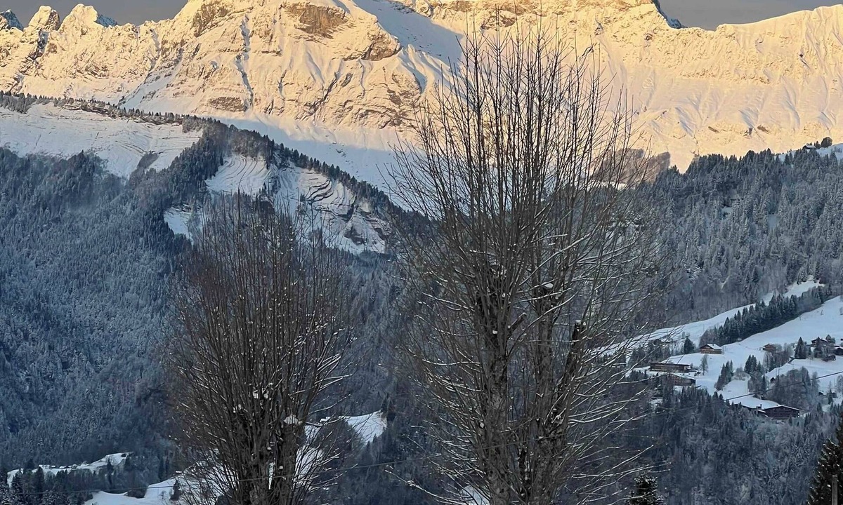 Notre-Dame-de-Bellecombe Ski Chalet | Family chalet in the Alps with great views and 3 distinctive living spaces.