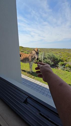 Gansbaai House | Fynbos N Sea