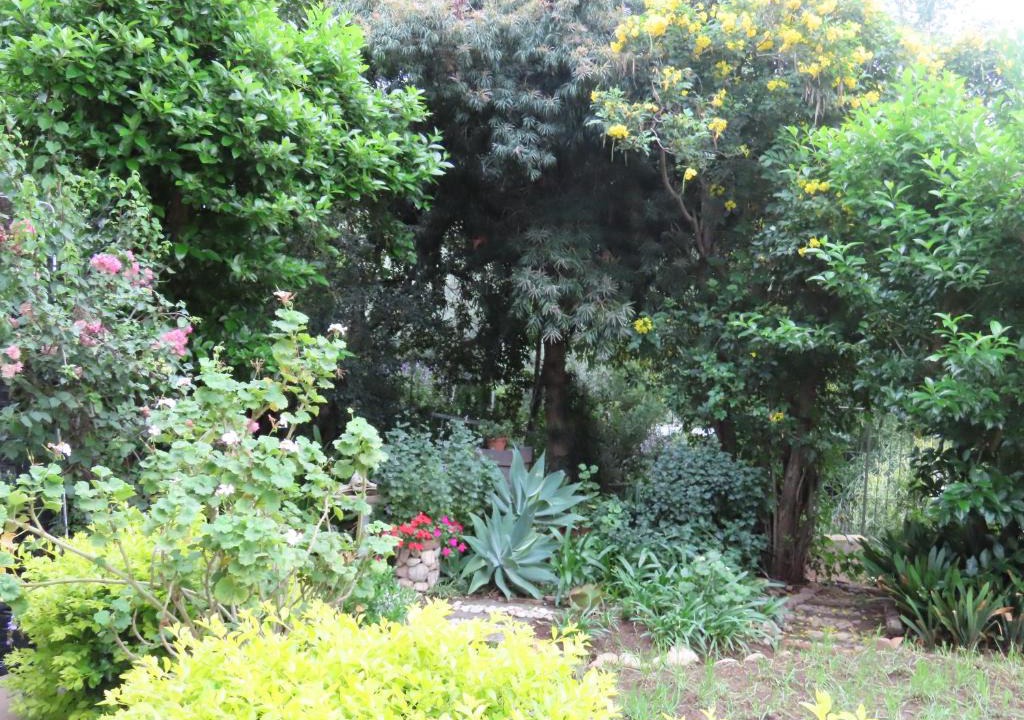 Karoo Hoogland Apartment | Garden Joy