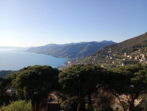 Mortola Bed & Breakfast | Golfo Paradiso