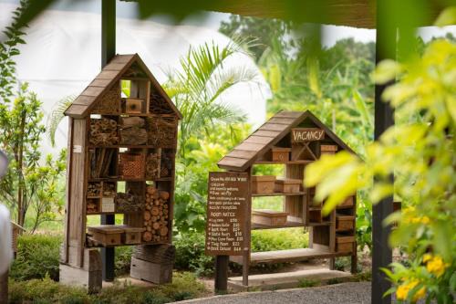 Nong Sarai Bed & Breakfast | Green Me Organic Farm Khao Yai กรีนมี ออแกนิคฟาร์ม เขาใหญ่