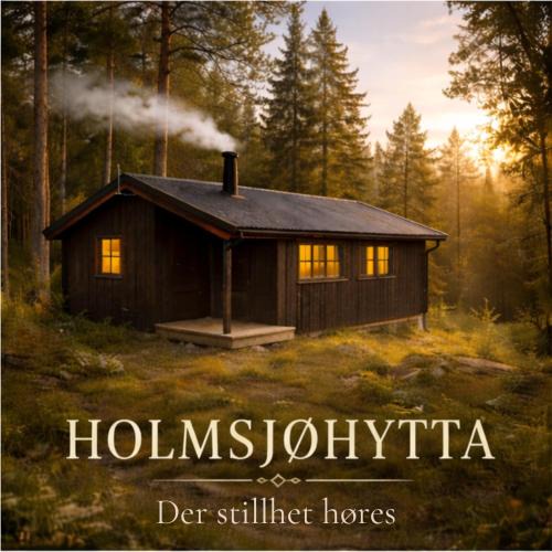 Asnes Municipality Other | Holmsjøhytta