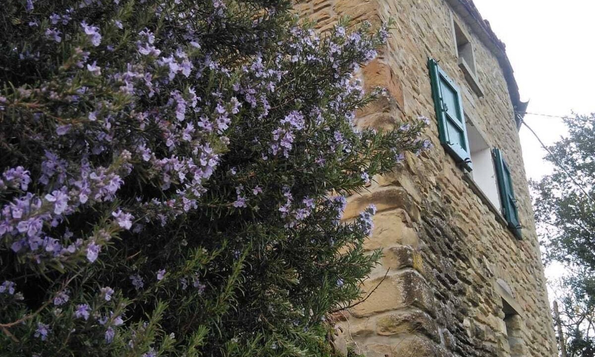 Castel del Rio House | House made of stone and chestnut wood, at the foot of the chestnut grove