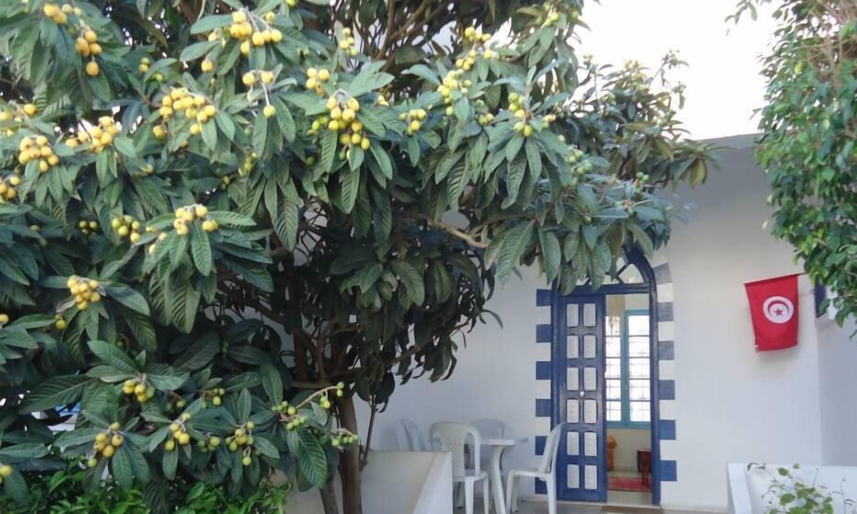 La Marsa House | House / Villa - LA MARSA-House with character and little garden