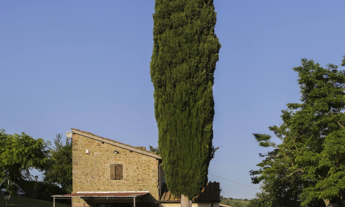 Barberino di Mugello Bed & Breakfast | Il Vignolino Bed and Breakfast