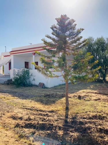 Echrarda Villa | Kairouan Chrarda