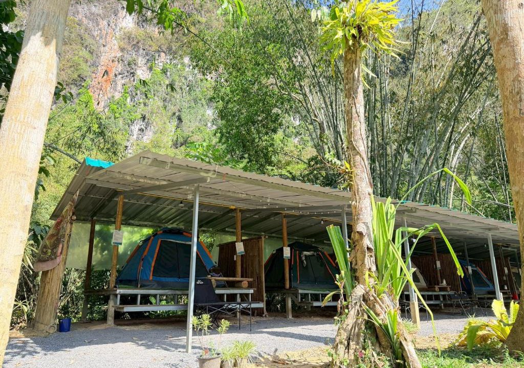 Khlong Sok Bed & Breakfast | Khaosok Mysterious Restaurant and Camp ร้านลึกลับริมคลอง