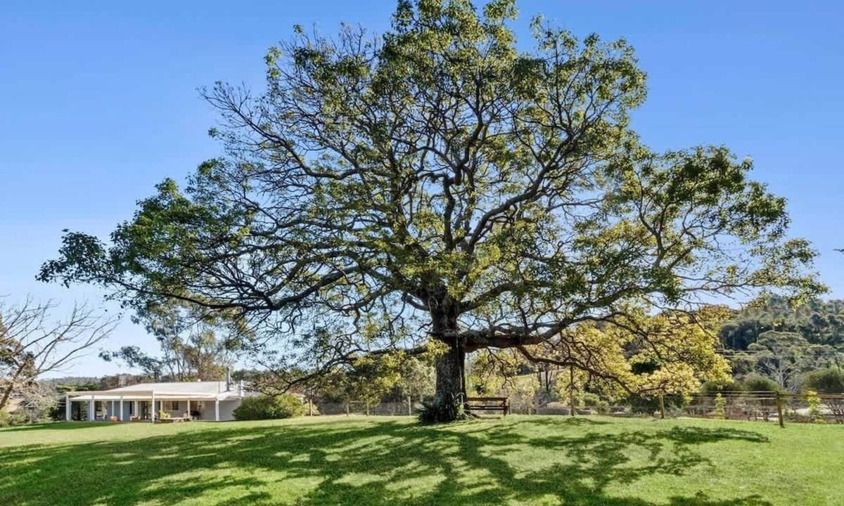 Malua Bay House | Kurrajong at Malua