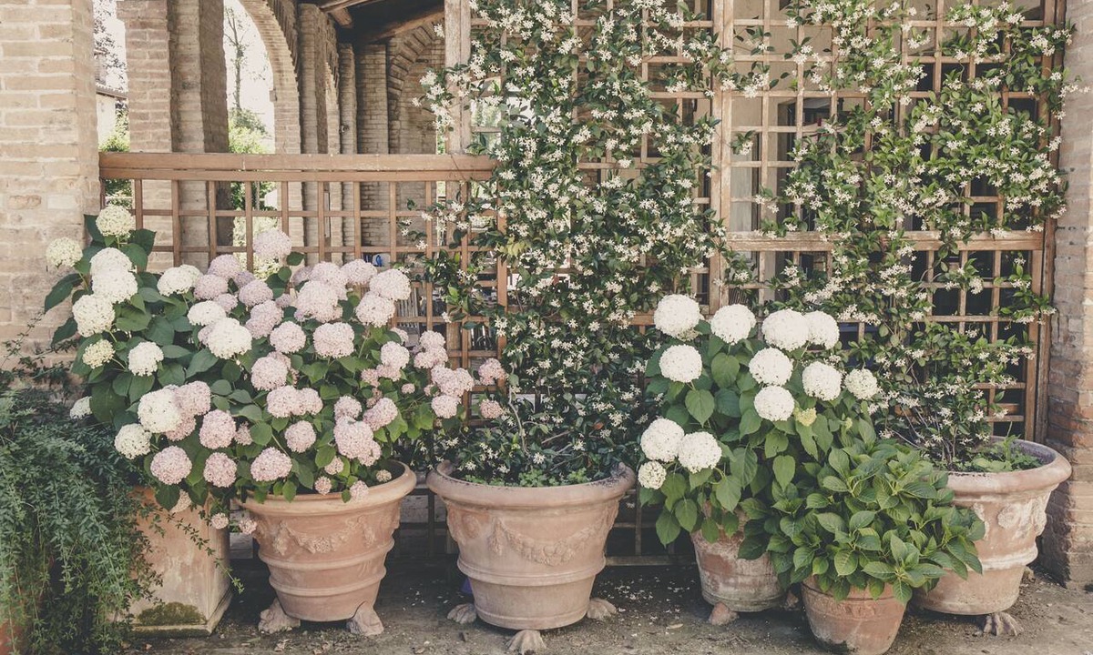 Parma Bed & Breakfast | La Luna nel Pozzo