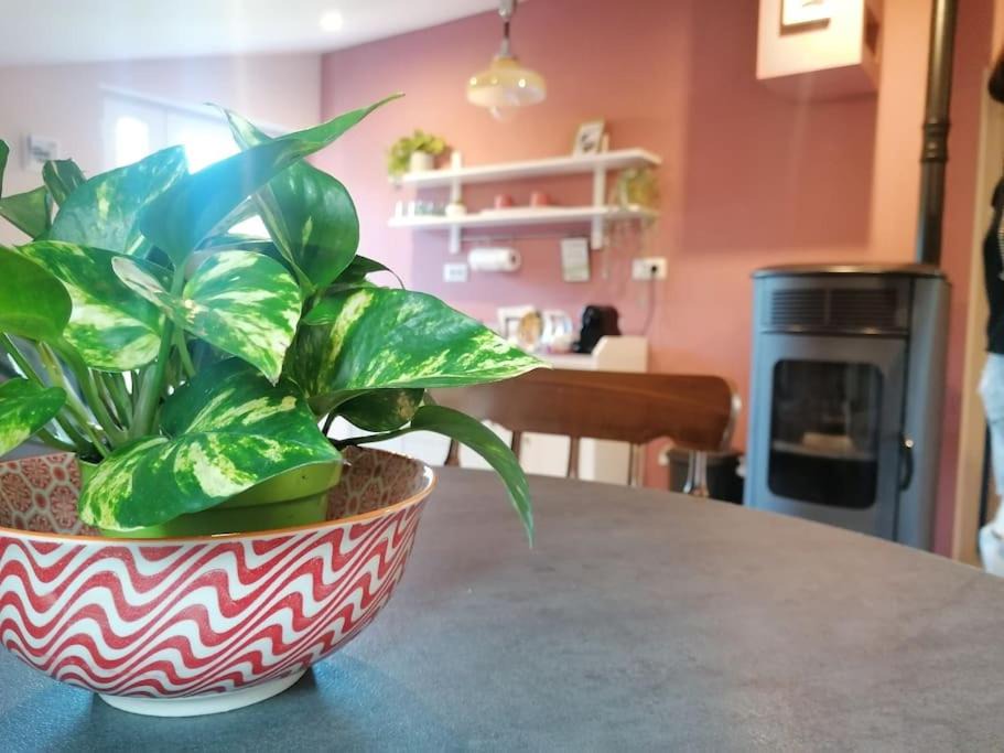 Bedonia House | La soffitta di Anita
