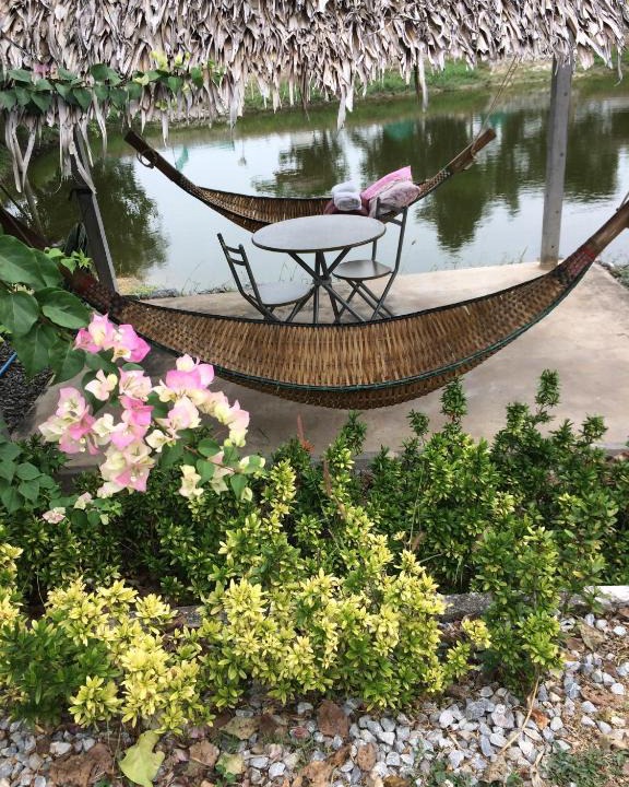 Nong Sarai Other | Lake View