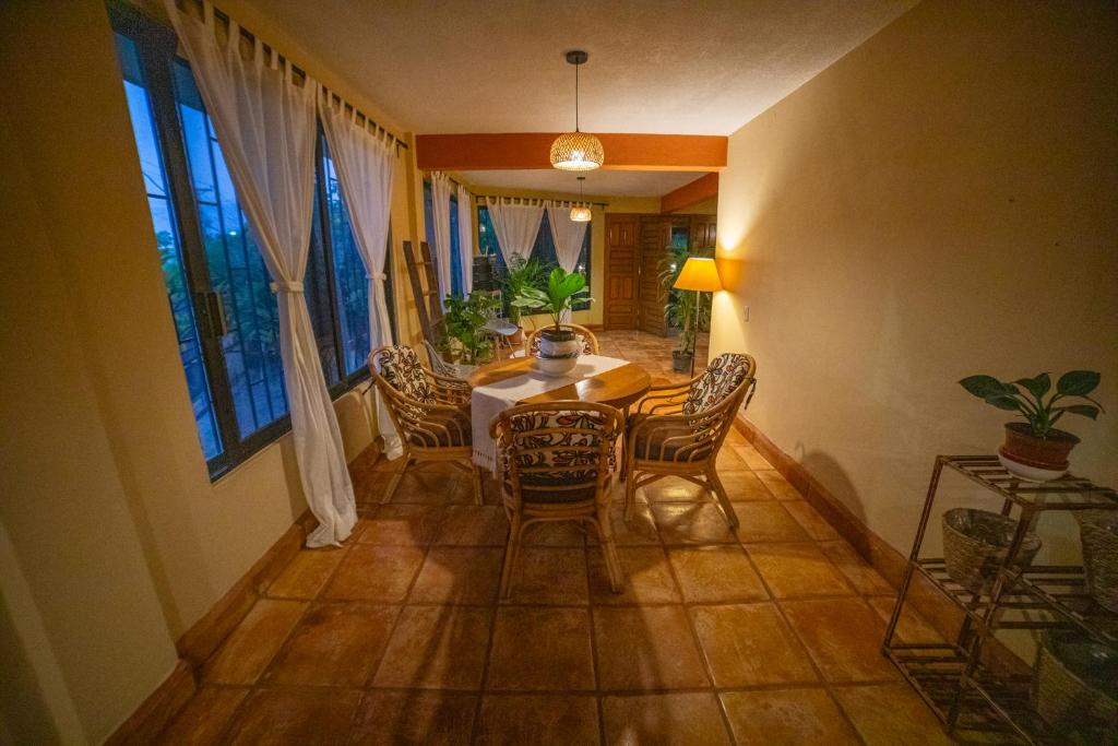 Downtown Cabo San Lucas Apartment | Large family house in Cabo , pet friendly