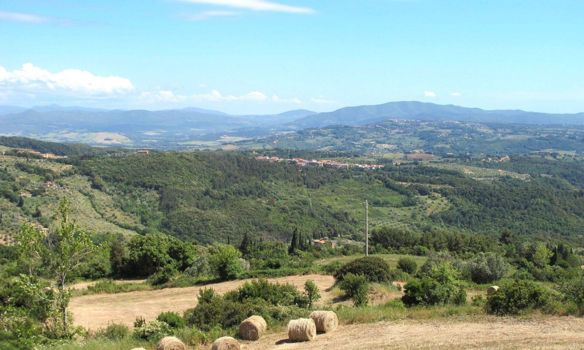 Riparbella Apartment | Lovely apartment for 6 people with pool, WIFI, A/C, TV and terrace