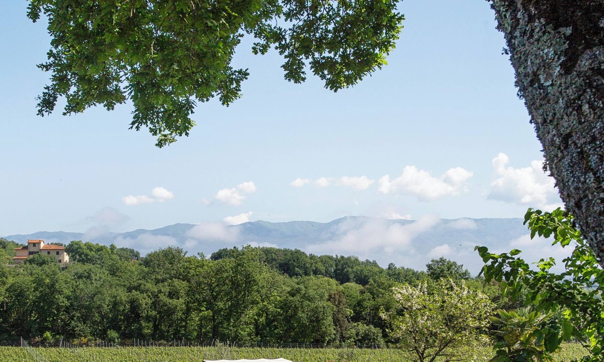 Cavriglia House | Luxury Chianti Villa with Private Pool & Jacuzzi EXCLUSIVE SUMMER EXPERIENCE