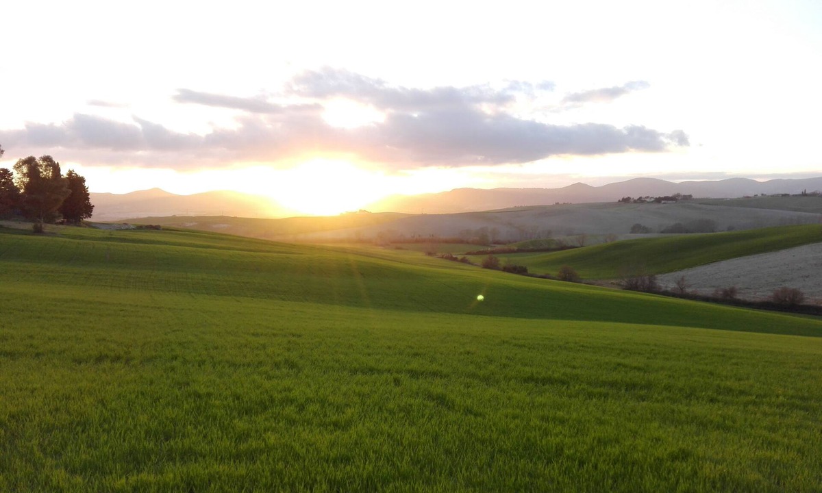 Santa Luce Apartment | Mandriato Organic Farm in the Tuscan Hills