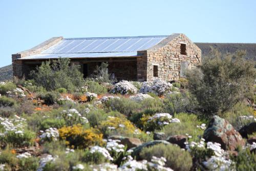 Sutherland Bed & Breakfast | Middelfontein Farm