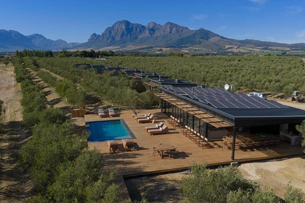 Paarl Hotel | Olijvenkraal Winelands Lodge