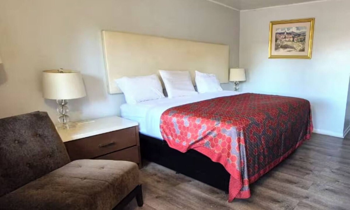 South Holland Hotel | Pet-Friendly Room w/Free Parking – Great for Solo & Business Travelers